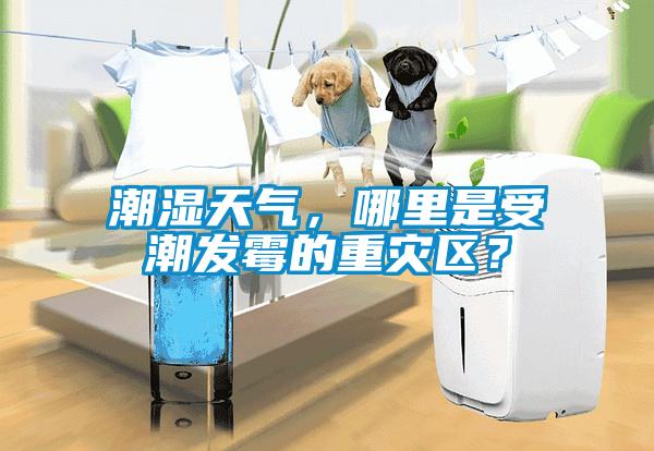 潮濕天氣，哪里是受潮發霉的重災區？