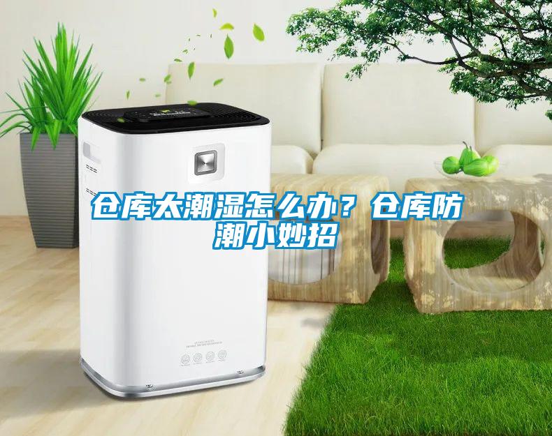 倉庫太潮濕怎么辦？倉庫防潮小妙招
