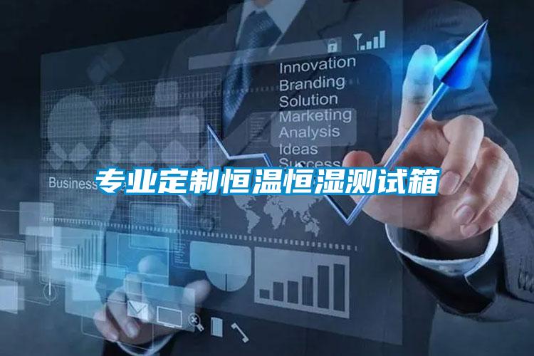 專業定制恒溫恒濕測試箱