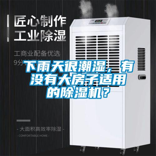 下雨天很潮濕，有沒有大房子適用的除濕機？