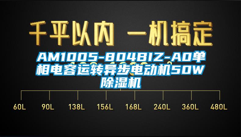 AM1005-804BIZ-A0單相電容運轉異步電動機50W除濕機