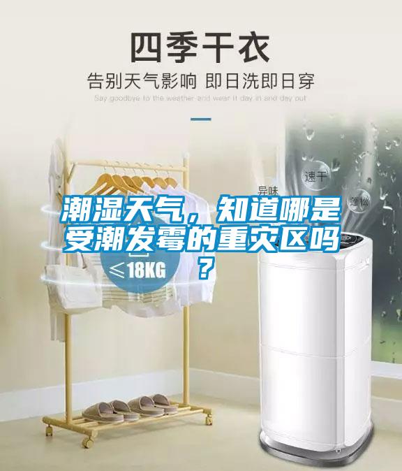 潮濕天氣，知道哪是受潮發霉的重災區嗎？