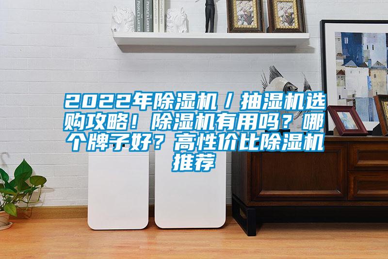 2022年除濕機／抽濕機選購攻略！除濕機有用嗎？哪個牌子好？高性價比除濕機推薦