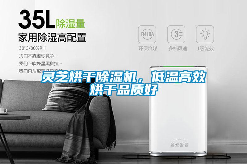 靈芝烘干除濕機(jī)，低溫高效烘干品質(zhì)好