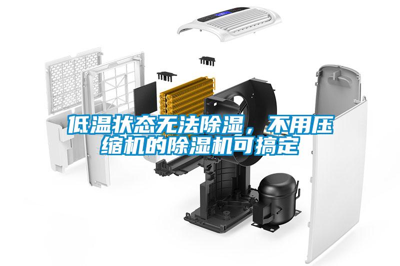 低溫狀態無法除濕，不用壓縮機的除濕機可搞定