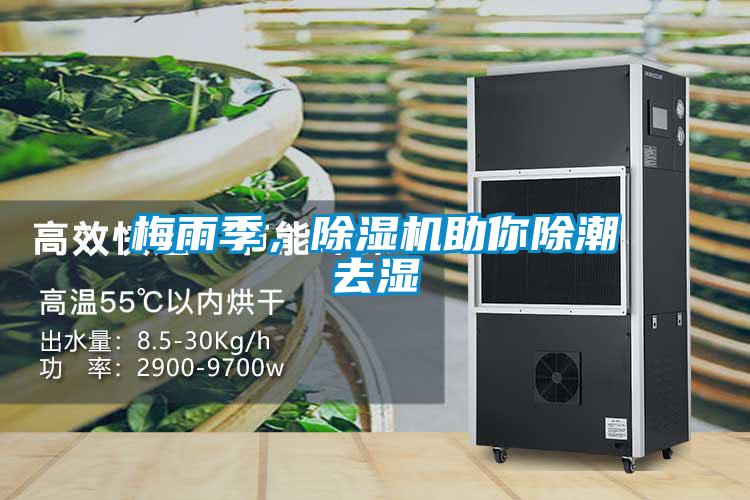 梅雨季，除濕機助你除潮去濕
