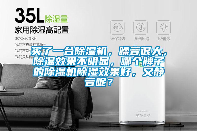 買了一臺除濕機，噪音很大，除濕效果不明顯，哪個牌子的除濕機除濕效果好，又靜音呢？