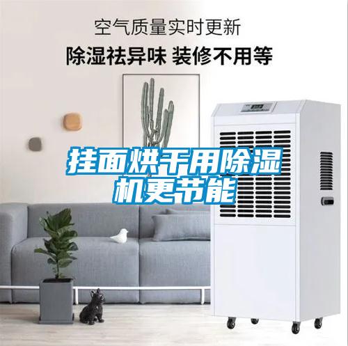 掛面烘干用除濕機更節能
