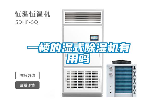 一樓的濕式除濕機有用嗎