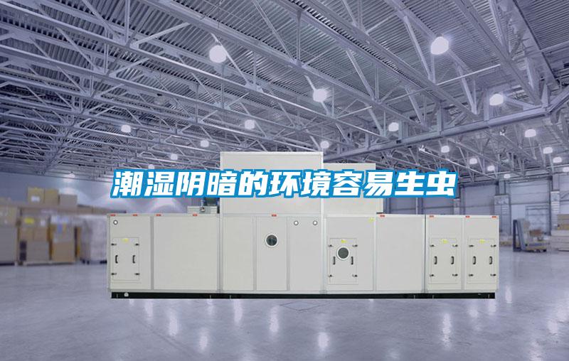 潮濕陰暗的環境容易生蟲