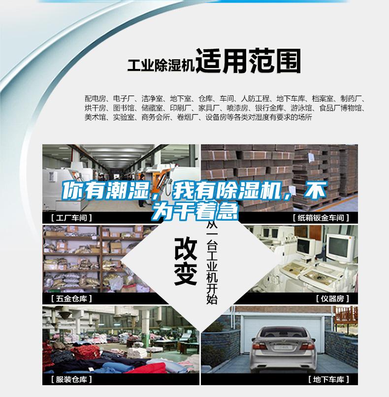 你有潮濕，我有除濕機，不為干著急