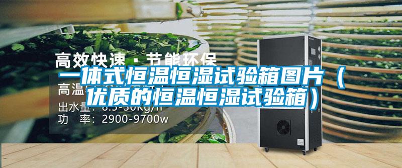 一體式恒溫恒濕試驗箱圖片（優質的恒溫恒濕試驗箱）