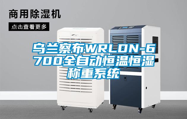 烏蘭察布WRLDN-6700全自動恒溫恒濕稱重系統