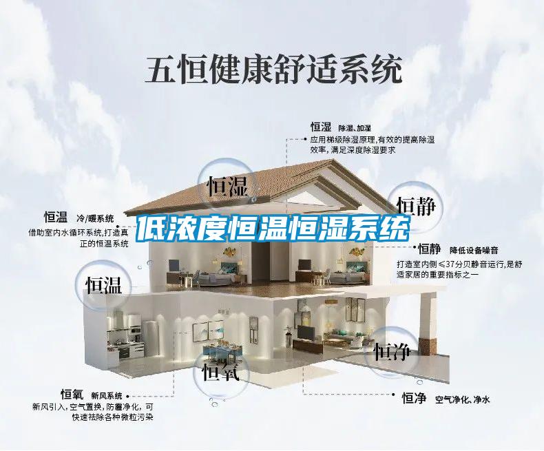 低濃度恒溫恒濕系統