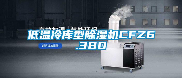 低溫冷庫型除濕機CFZ6.3BD