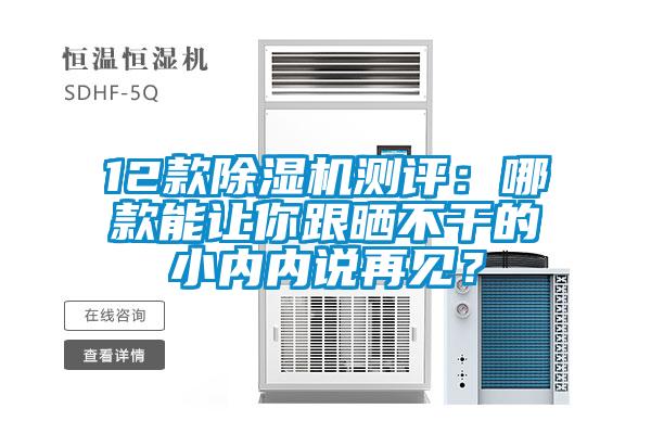 12款除濕機測評：哪款能讓你跟曬不干的小內內說再見？
