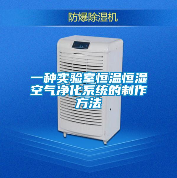 一種實驗室恒溫恒濕空氣凈化系統的制作方法