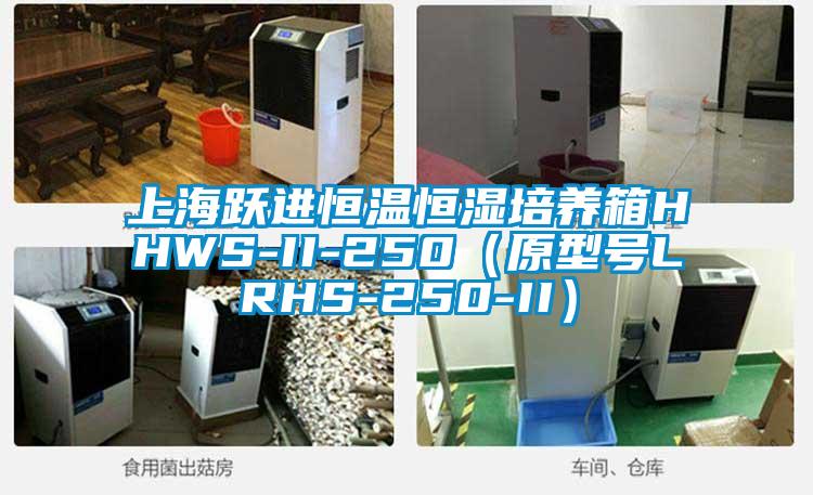 上海躍進(jìn)恒溫恒濕培養(yǎng)箱HHWS-II-250（原型號(hào)LRHS-250-II）