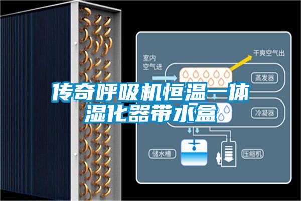 傳奇呼吸機恒溫一體濕化器帶水盒
