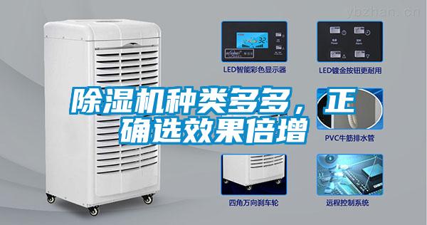 除濕機種類多多，正確選效果倍增
