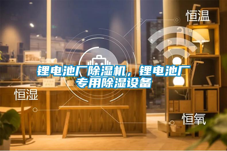 鋰電池廠除濕機，鋰電池廠專用除濕設(shè)備