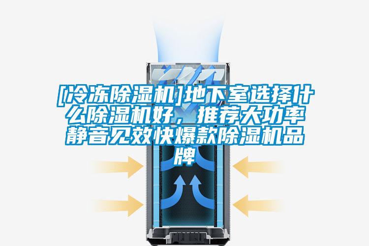 [冷凍除濕機(jī)]地下室選擇什么除濕機(jī)好，推薦大功率靜音見(jiàn)效快爆款除濕機(jī)品牌
