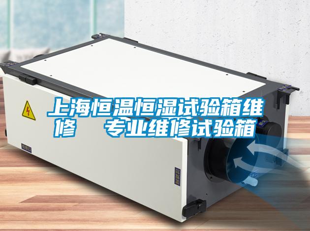 上海恒溫恒濕試驗(yàn)箱維修  專(zhuān)業(yè)維修試驗(yàn)箱