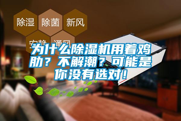 為什么除濕機(jī)用著雞肋？不解潮？可能是你沒(méi)有選對(duì)！