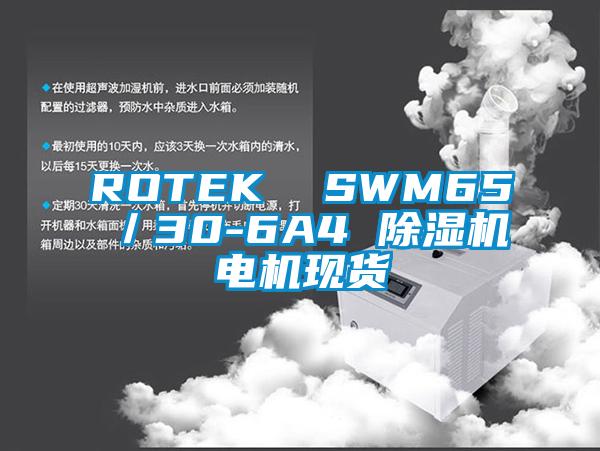 ROTEK  SWM65／30-6A4 除濕機電機現貨