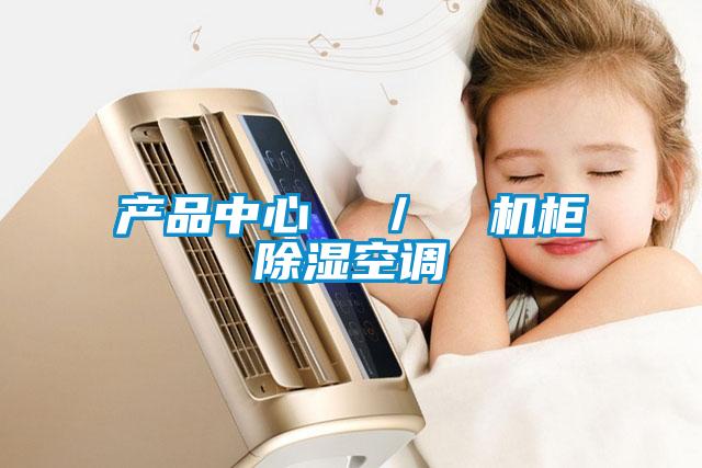 產品中心  ／  機柜除濕空調