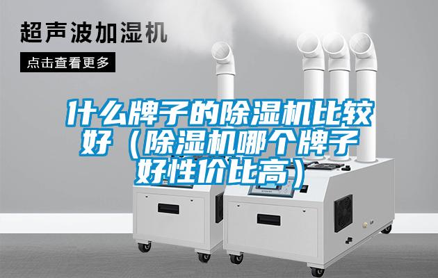 什么牌子的除濕機比較好（除濕機哪個牌子好性價比高）