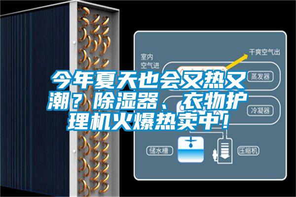 今年夏天也會(huì)又熱又潮？除濕器、衣物護(hù)理機(jī)火爆熱賣中！