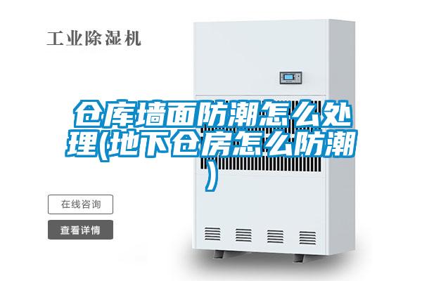 倉(cāng)庫(kù)墻面防潮怎么處理(地下倉(cāng)房怎么防潮)