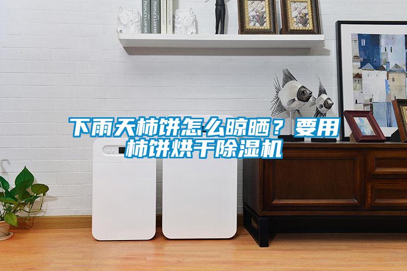 下雨天柿餅怎么晾曬？要用柿餅烘干除濕機
