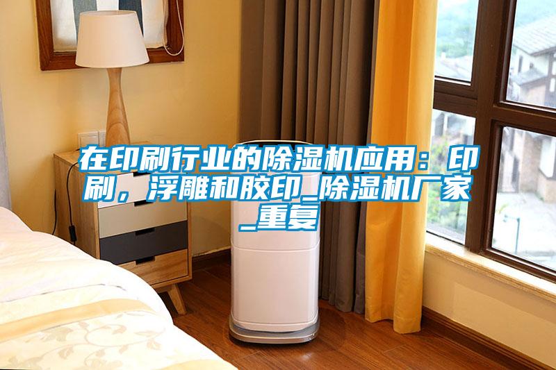 在印刷行業的除濕機應用：印刷，浮雕和膠印_除濕機廠家_重復