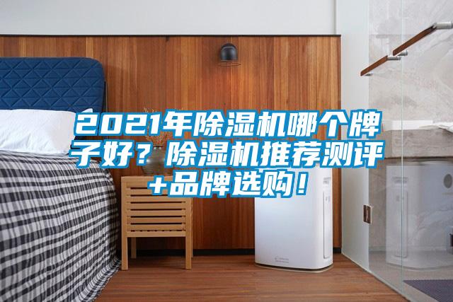 2021年除濕機哪個牌子好？除濕機推薦測評+品牌選購！