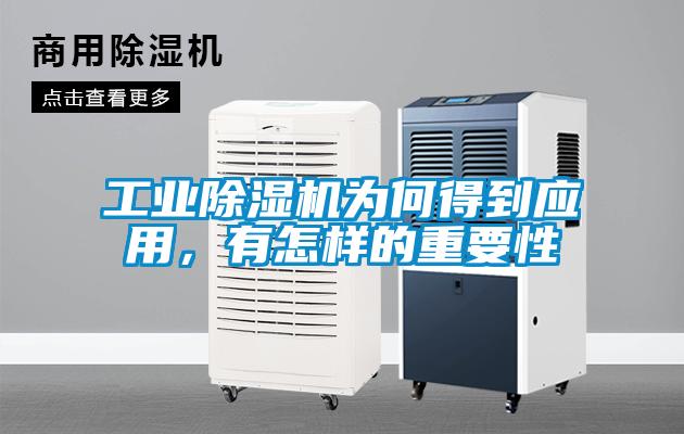 工業除濕機為何得到應用，有怎樣的重要性