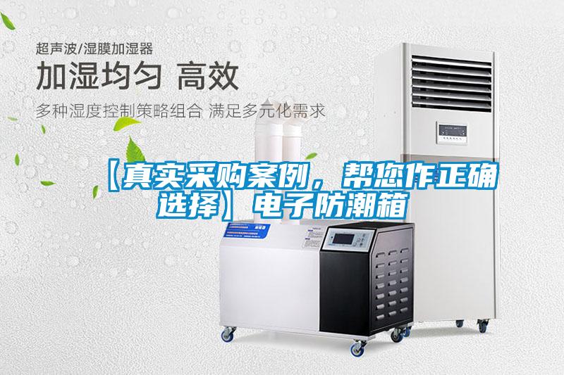 【真實采購案例，幫您作正確選擇】電子防潮箱