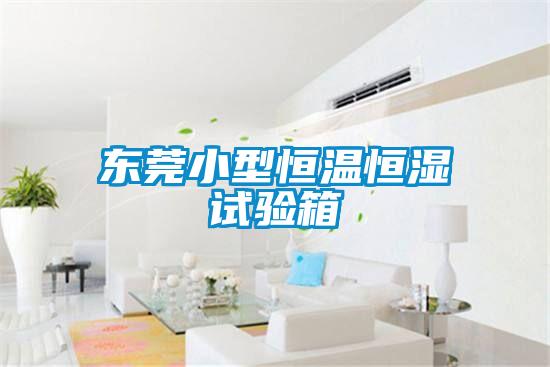 東莞小型恒溫恒濕試驗箱
