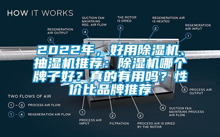 2022年，好用除濕機、抽濕機推薦：除濕機哪個牌子好？真的有用嗎？性價比品牌推薦