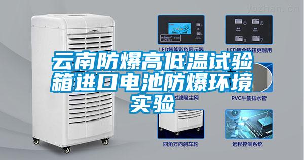 云南防爆高低溫試驗箱進口電池防爆環境實驗