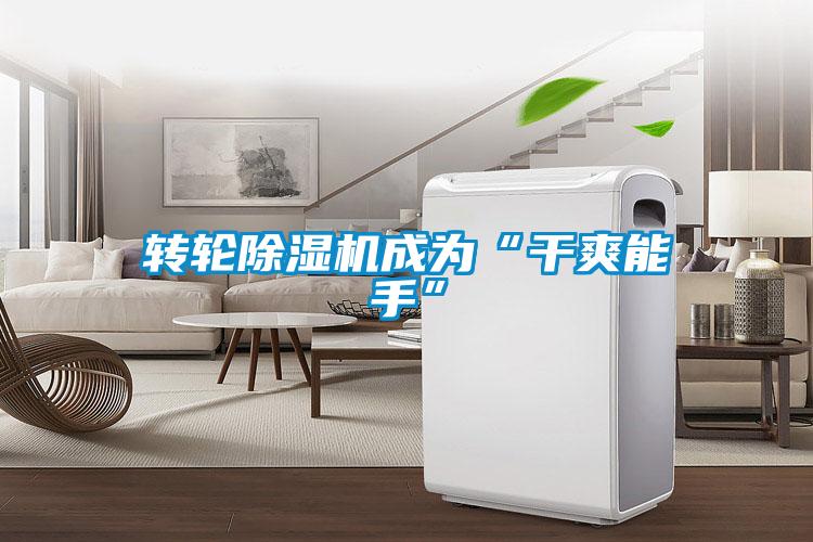 轉(zhuǎn)輪除濕機(jī)成為“干爽能手”