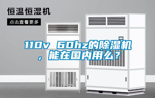 110v 60hz的除濕機，能在國內用么？