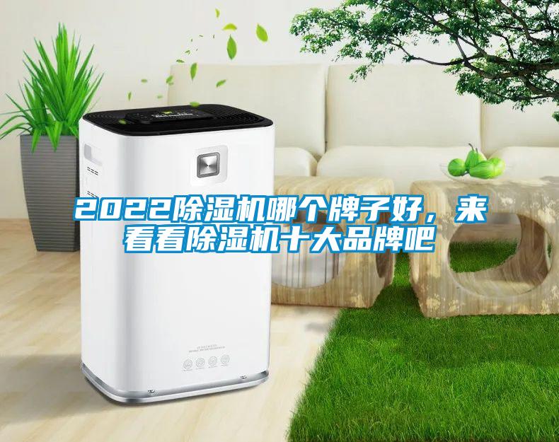 2022除濕機哪個牌子好，來看看除濕機十大品牌吧