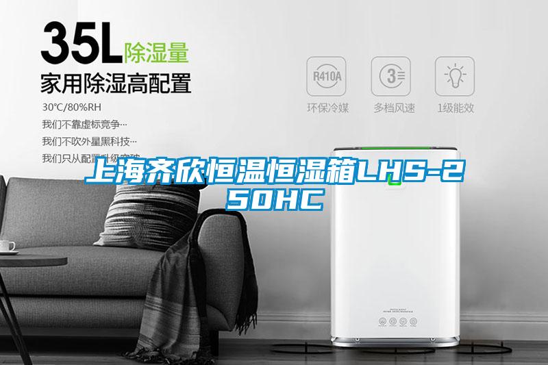 上海齊欣恒溫恒濕箱LHS-250HC