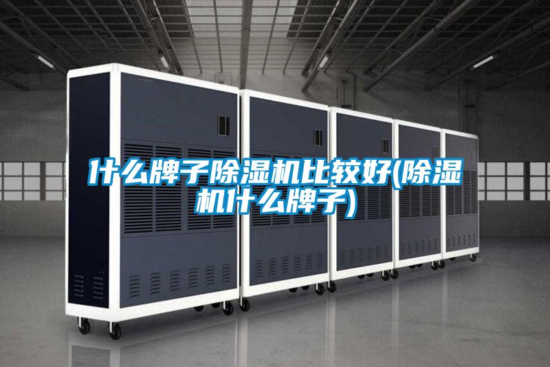 什么牌子除濕機比較好(除濕機什么牌子)