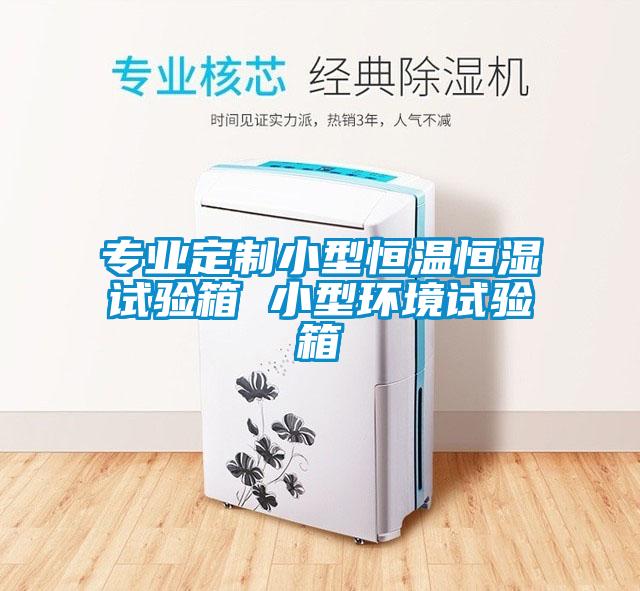 專業定制小型恒溫恒濕試驗箱 小型環境試驗箱