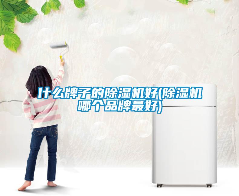 什么牌子的除濕機好(除濕機哪個品牌最好)