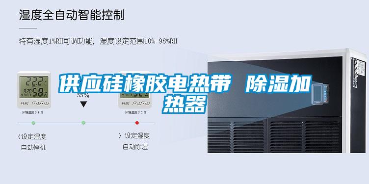 供應硅橡膠電熱帶 除濕加熱器