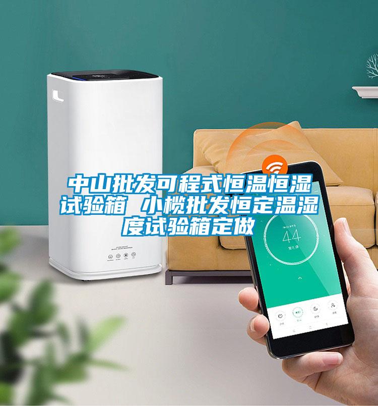 中山批發可程式恒溫恒濕試驗箱 小欖批發恒定溫濕度試驗箱定做
